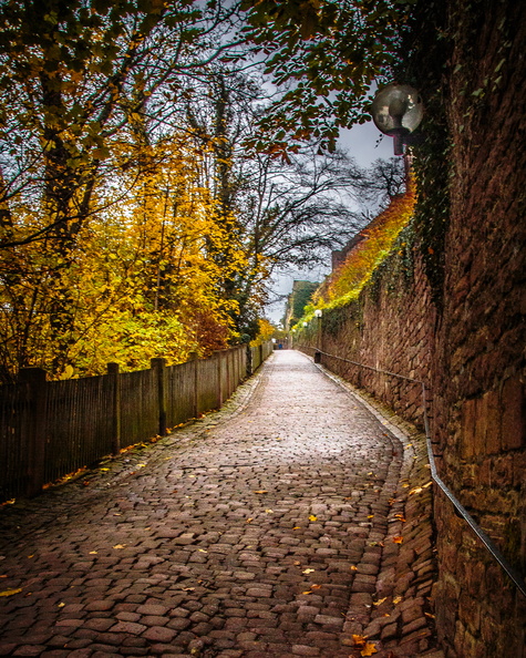 2013 11-Walk to Heidelberg Castle.jpg